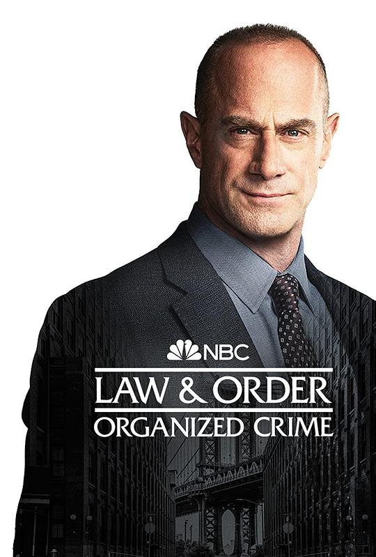 法律与秩序：组织犯罪 第三季 第19集