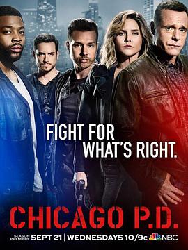 芝加哥警署第四季 第16集