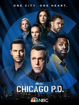 芝加哥警署第九季 第14集