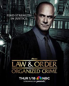 法律与秩序：组织犯罪第四季 第07集
